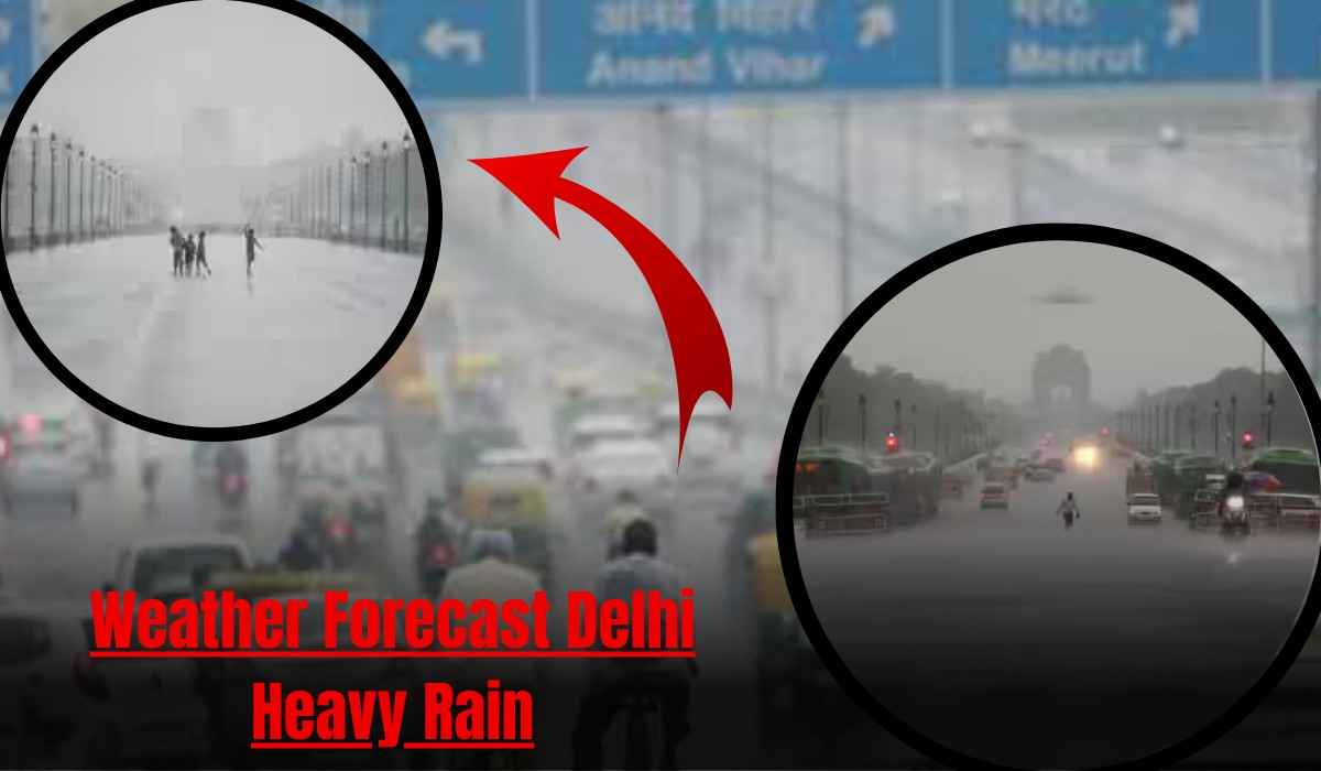 Weather Forecast Delhi